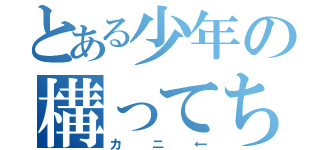 とある少年の構ってちゃん（カニ←）