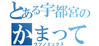 とある宇都宮のかまって宣言（ウツノミックス）