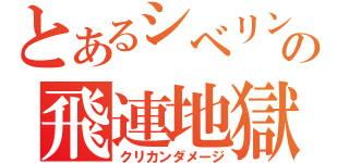 とあるシベリンの飛連地獄（クリカンダメージ）