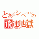 とあるシベリンの飛連地獄（クリカンダメージ）