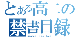 とある高二の禁書目録（ａｎｄｅｒ ｔｈｅ ｂｅｄ）