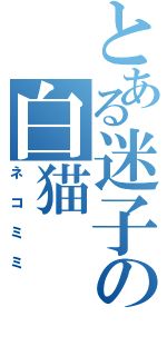 とある迷子の白猫（ネコミミ）