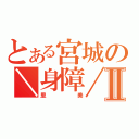 とある宮城の＼身障／Ⅱ（里美）