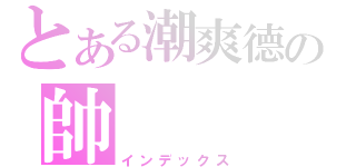 とある潮爽德の帥（インデックス）