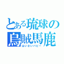 とある琉球の烏賊馬鹿（はいさいパピー）