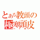 とある教頭の極寒頭皮（ハゲ頭）