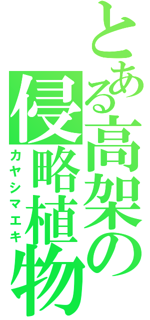 とある高架の侵略植物（カヤシマエキ）