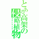 とある高架の侵略植物（カヤシマエキ）