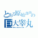 とある原始部族の巨大睾丸（動物みたいな巨玉で竿のカリが無い）