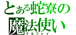 とある蛇寮の魔法使い（マルフォイ）