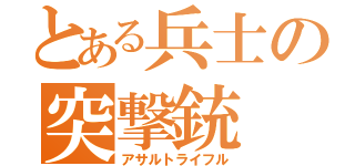 とある兵士の突撃銃（アサルトライフル）