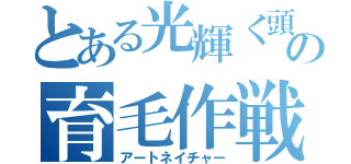 とある光輝く頭をもつ三十路のおっさんの育毛作戦（アートネイチャー）