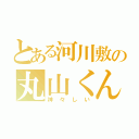 とある河川敷の丸山くん（神々しい）