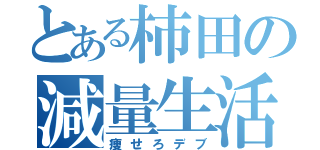 とある柿田の減量生活（痩せろデブ）