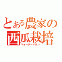 とある農家の西瓜栽培（ウォーターメロン）