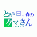 とある日、森のクマさん（に出逢った）