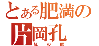 とある肥満の片岡孔（紅の豚）