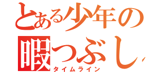 とある少年の暇つぶし（タイムライン）