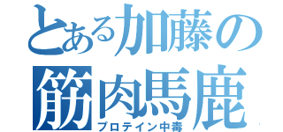 とある加藤の筋肉馬鹿（プロテイン中毒）