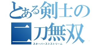 とある剣士の二刀無双（スターバーストストリーム）