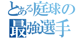 とある庭球の最強選手（）