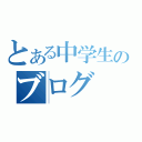 とある中学生のブログ（）