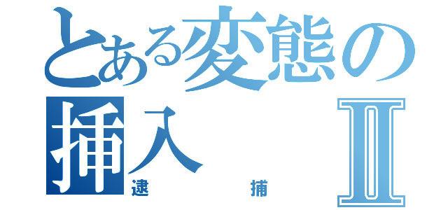 とある変態の挿入Ⅱ（逮捕）