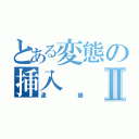 とある変態の挿入Ⅱ（逮捕）