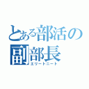 とある部活の副部長（エリートニート）