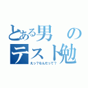 とある男のテスト勉強（えっ？なんだって？）