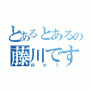 とあるとあるの藤川です（何か？）