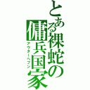 とある裸蛇の傭兵国家（アウターへブン）