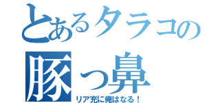 とあるタラコの豚っ鼻（リア充に俺はなる！）