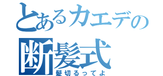 とあるカエデの断髪式（髪切るってよ）