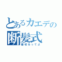 とあるカエデの断髪式（髪切るってよ）