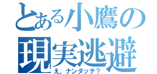 とある小鷹の現実逃避（え、ナンダッテ？）