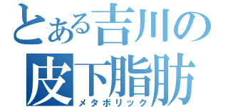 とある吉川の皮下脂肪（メタボリック）