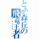 とある森丘の飛竜王者（リオレウス）