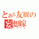 とある友樹の妄想嫁（トラブル）