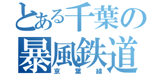 とある千葉の暴風鉄道（京葉線）