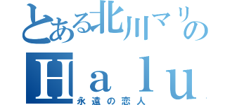 とある北川マリンのＨａｌｕ Ａｃｋｅｒｍａｎ（永遠の恋人）