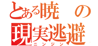 とある暁の現実逃避（ニンジン）