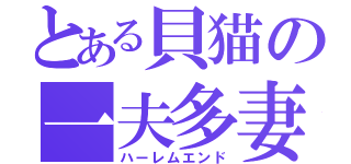 とある貝猫の一夫多妻（ハーレムエンド）