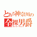 とある神奈川の全裸男爵（ストリーキング）