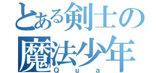 とある剣士の魔法少年（Ｑｕａ）