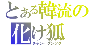 とある韓流の化け狐（チャン・グンソク）