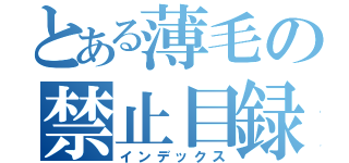 とある薄毛の禁止目録（インデックス）