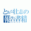 とある壮志の報告書精査（インデックス）