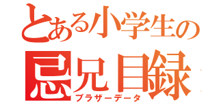 とある小学生の忌兄目録（ブラザーデータ）