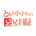 とある小学生の忌兄目録（ブラザーデータ）